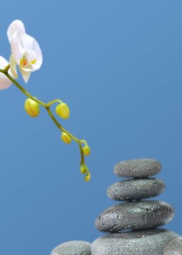 按摩.