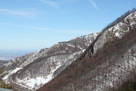 山上的雪