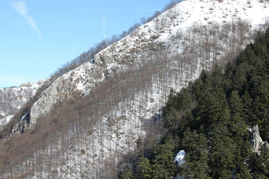 山上的雪