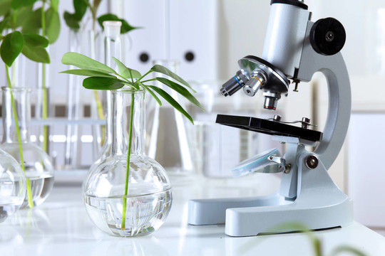 在綠色植物生物學實驗室