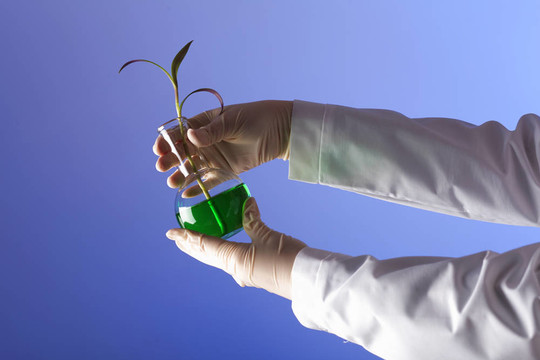在綠色植物生物學實驗室