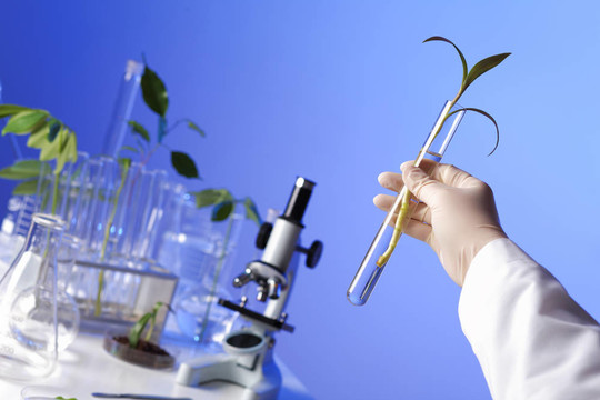 在綠色植物生物學實驗室