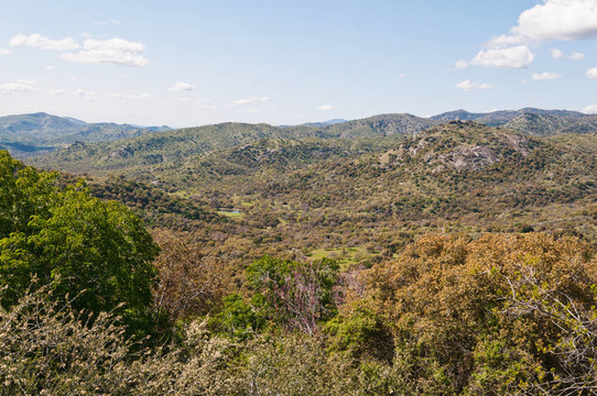 荒野