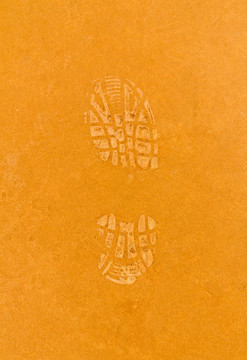 鞋print1