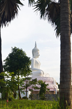 White Buddha的雕像