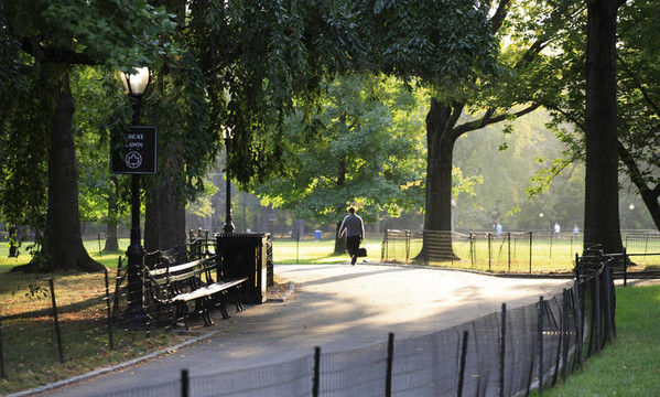 在中央公園，紐約清晨