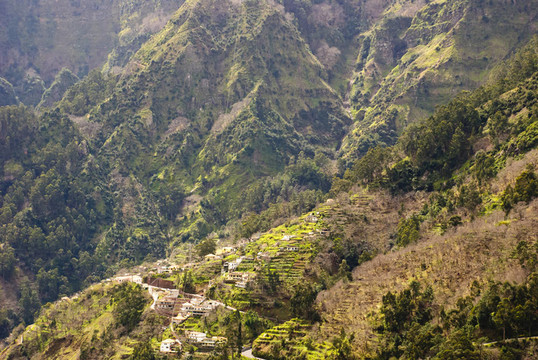 庫拉爾-達斯弗雷拉斯；Madeira