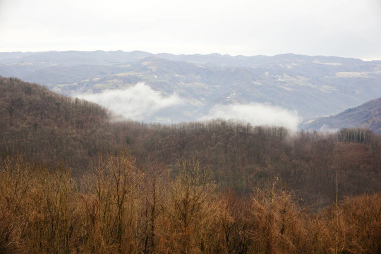 山