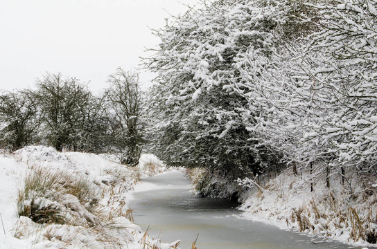 雪河