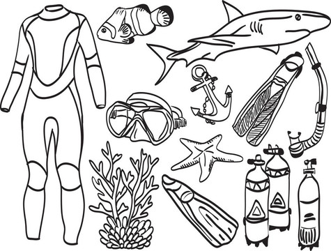 潛水設(shè)備與海洋生物