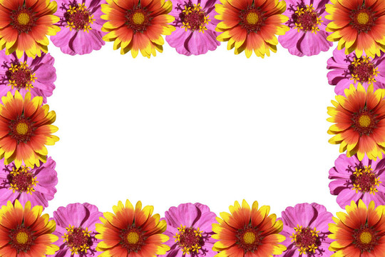 花框