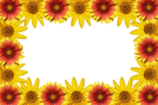 花框