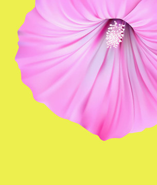 春花背景設(shè)計