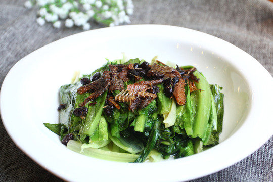 油麥菜