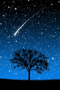 星空下的樹與夜晚的流星