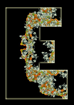 字母E。