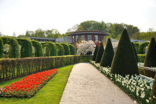 花園里的灌木叢；紅色和白色的花和樹在Keukenhof