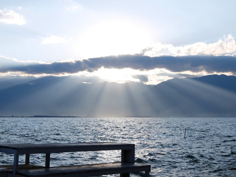 面朝大海