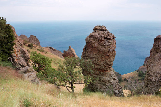山區(qū)夏季景觀