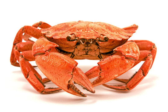 煮蟹