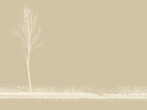 對(duì)垃圾背景小的樹(shù)