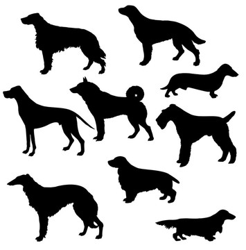 的各種狩獵犬剪影白色背景