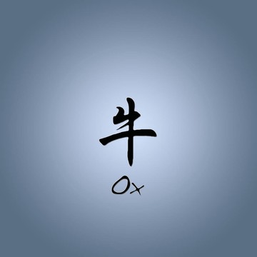 中國的星座。
