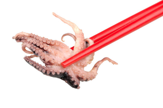 在筷子的章魚