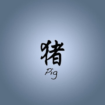 中國(guó)的星座。