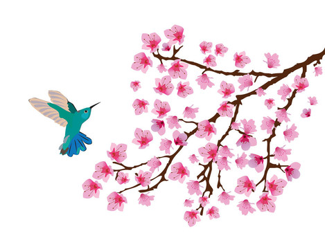櫻花