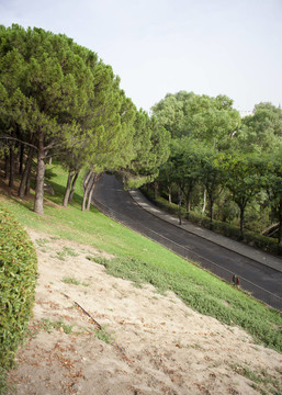 公園路
