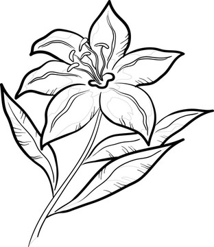 摘要花；象形文字
