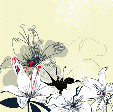 白百合花背景