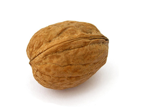 核桃