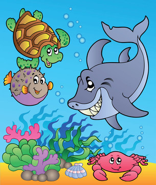 水下動物與魚類1