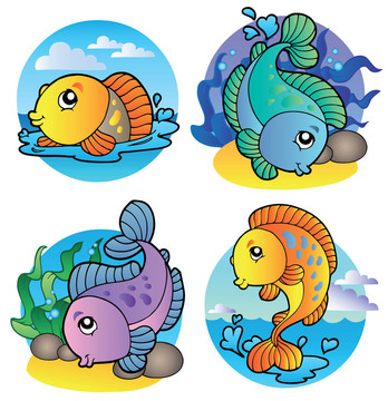 各種淡水魚(yú)類(lèi)1