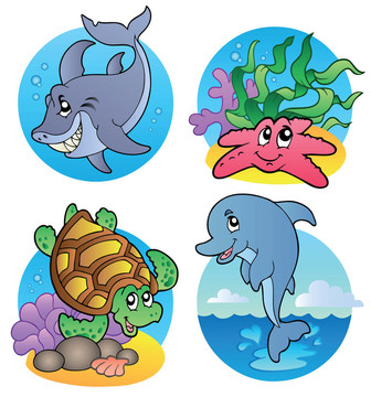 各種海洋動(dòng)物和魚(yú)類