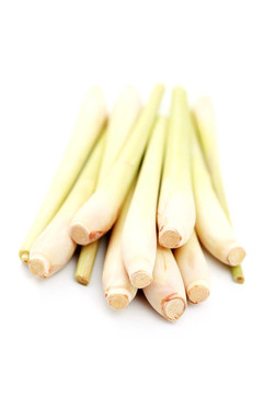 檸檬草
