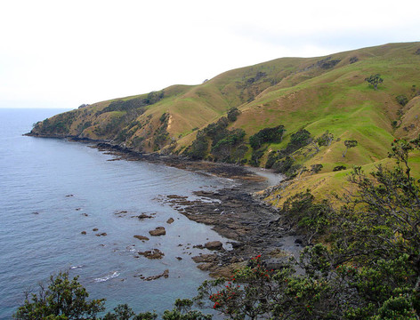 科羅曼德爾的海岸線；北新西蘭島；