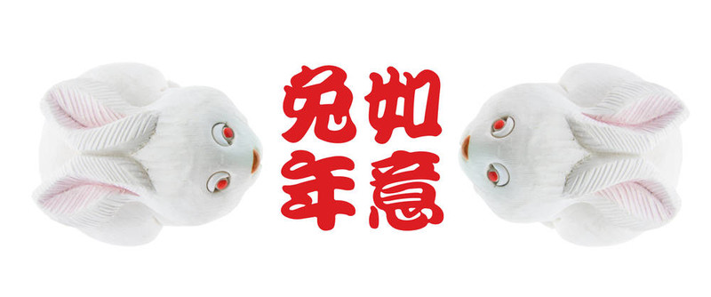 兔年