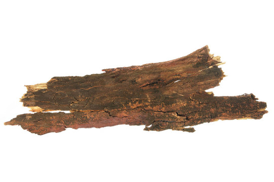樹(shù)皮