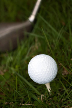 Golf Ball和TEE