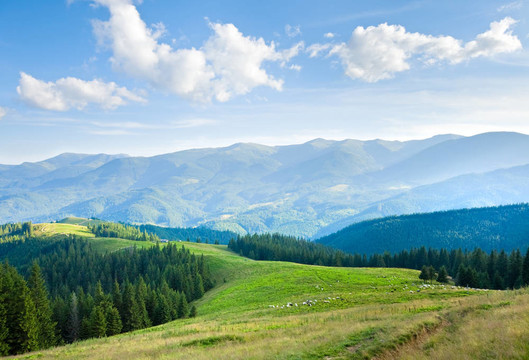 夏季山地高原景觀