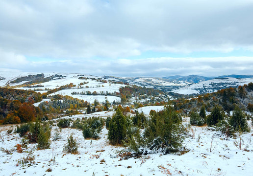 第一個冬天的雪和秋天五顏六色的樹葉在山上
