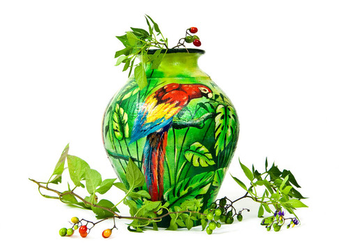 彩繪花瓶與Parrot和野生漿果