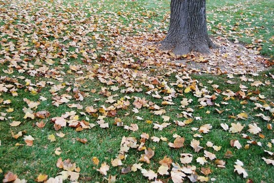 在公園里