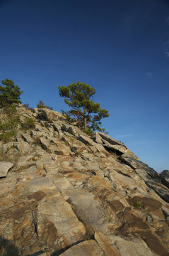 山坡