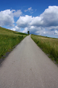 景觀道路