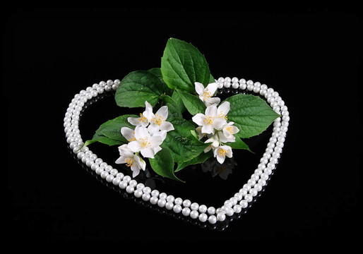 美麗的Fresh Jasmine Flower與黑色的反思與珀?duì)柕男? style=