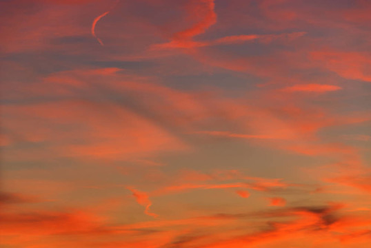 夕陽紅